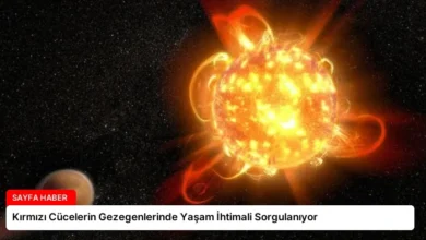 Kırmızı Cücelerin Gezegenlerinde Yaşam İhtimali Sorgulanıyor