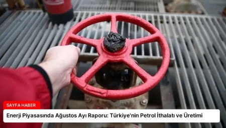 Enerji Piyasasında Ağustos Ayı Raporu: Türkiye’nin Petrol İthalatı ve Üretimi