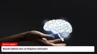 Beynin İşleme Hızı ve Düşünce Süreçleri