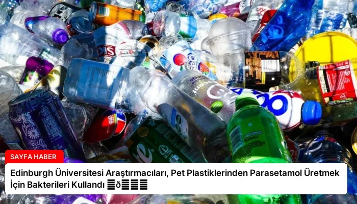 Edinburgh Üniversitesi Araştırmacıları, Pet Plastiklerinden Parasetamol Üretmek İçin Bakterileri Kullandı ⏬👇