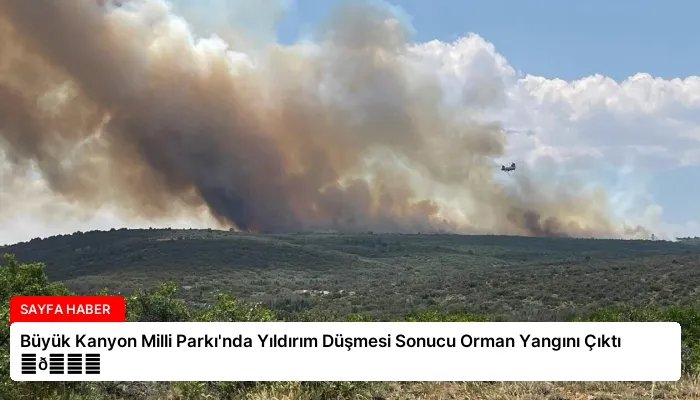 Büyük Kanyon Milli Parkı’nda Yıldırım Düşmesi Sonucu Orman Yangını Çıktı ⏬👇
