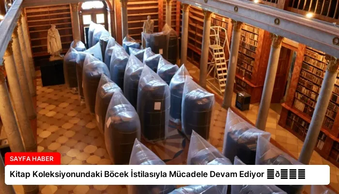 Kitap Koleksiyonundaki Böcek İstilasıyla Mücadele Devam Ediyor ⏬👇