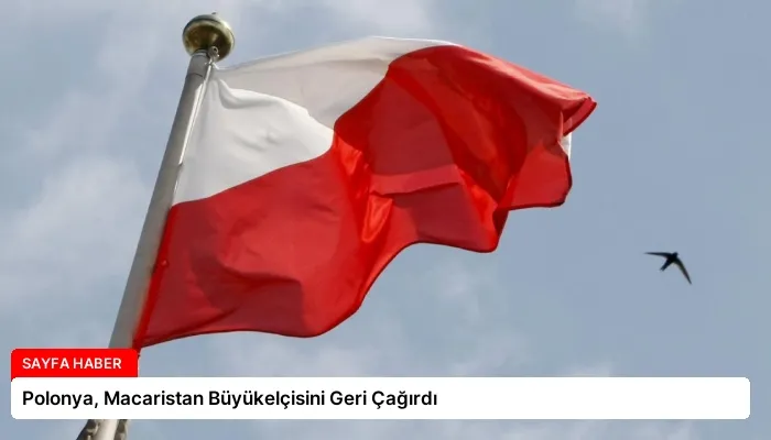Polonya, Macaristan Büyükelçisini Geri Çağırdı