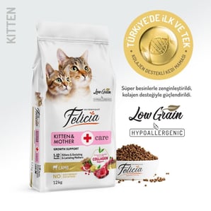 Evcil Dostlar İçin Lezzetli Kedi Maması