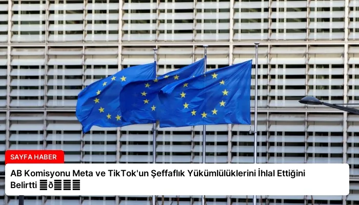AB Komisyonu Meta ve TikTok’un Şeffaflık Yükümlülüklerini İhlal Ettiğini Belirtti ⏬👇