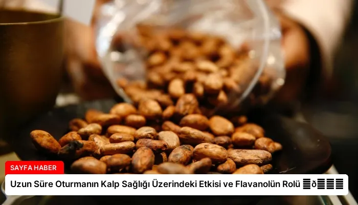 Uzun Süre Oturmanın Kalp Sağlığı Üzerindeki Etkisi ve Flavanolün Rolü ⏬👇