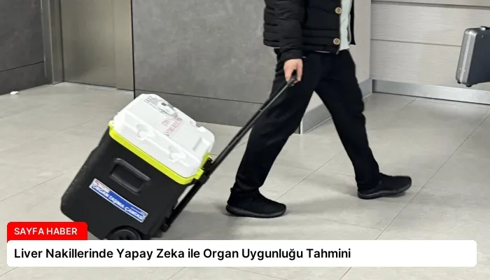 Liver Nakillerinde Yapay Zeka ile Organ Uygunluğu Tahmini