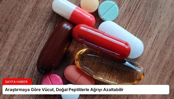 Araştırmaya Göre Vücut, Doğal Peptitlerle Ağrıyı Azaltabilir