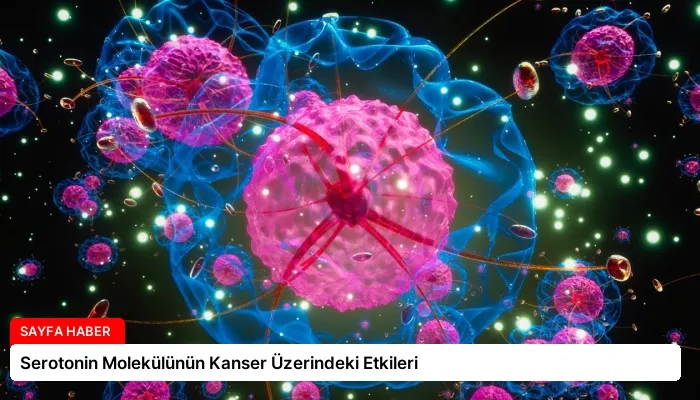 Serotonin Molekülünün Kanser Üzerindeki Etkileri