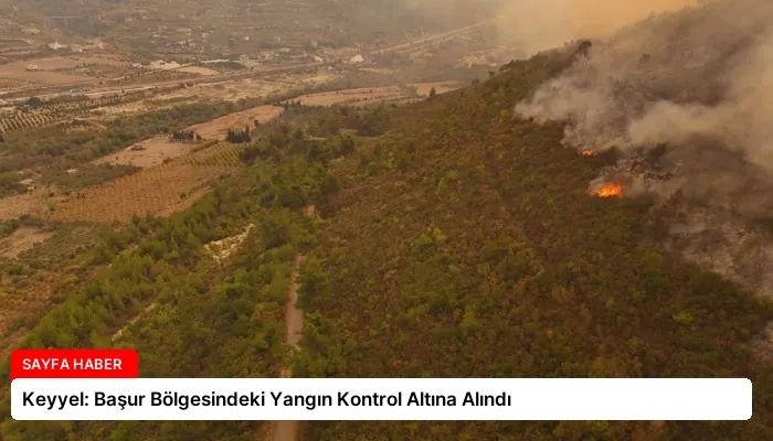 Keyyel: Başur Bölgesindeki Yangın Kontrol Altına Alındı