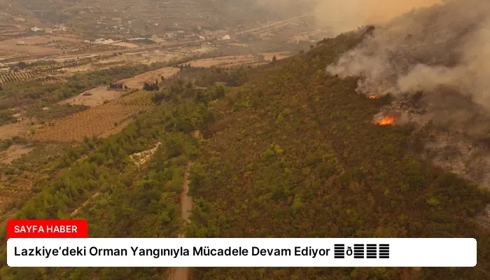 Lazkiye’deki Orman Yangınıyla Mücadele Devam Ediyor ⏬👇