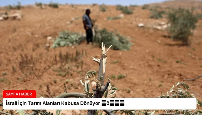 İsrail İçin Tarım Alanları Kabusa Dönüyor ⏬👇