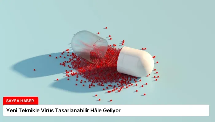 Yeni Teknikle Virüs Tasarlanabilir Hâle Geliyor