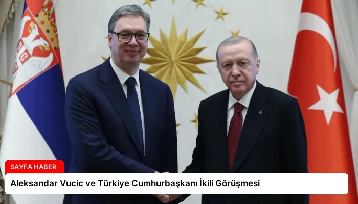 Aleksandar Vucic ve Türkiye Cumhurbaşkanı İkili Görüşmesi