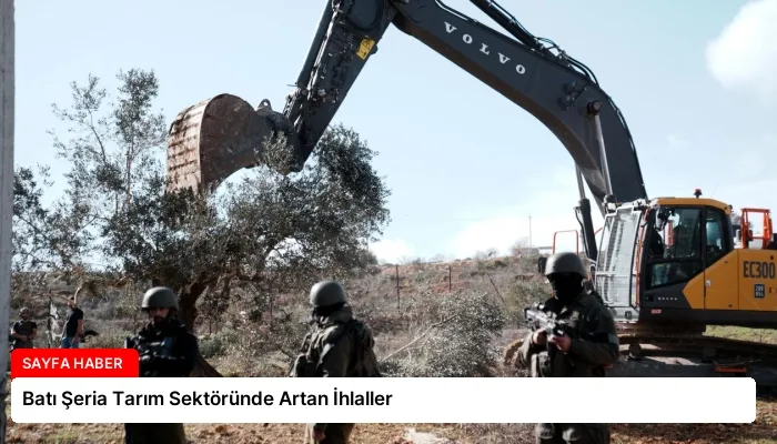 Batı Şeria Tarım Sektöründe Artan İhlaller