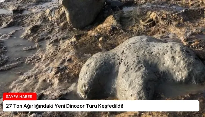 27 Ton Ağırlığındaki Yeni Dinozor Türü Keşfedildi!