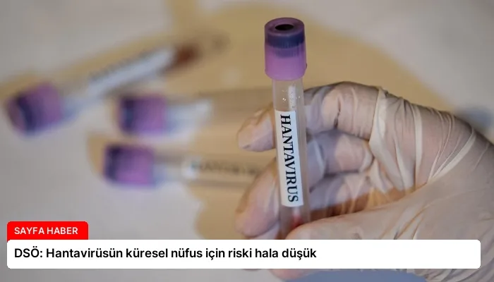 DSÖ: Hantavirüsün küresel nüfus için riski hala düşük