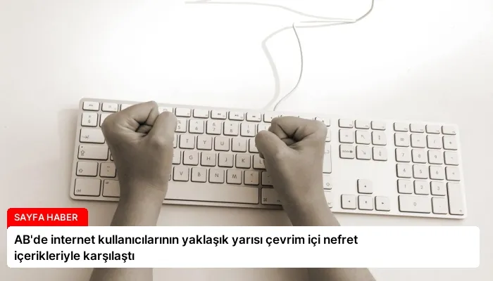AB’de internet kullanıcılarının yaklaşık yarısı çevrim içi nefret içerikleriyle karşılaştı