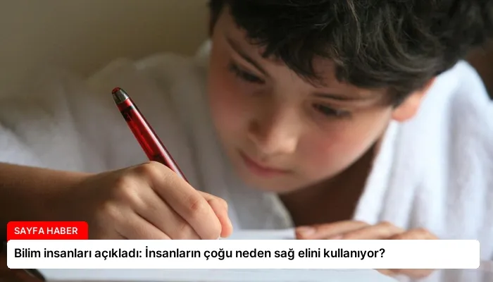 Bilim insanları açıkladı: İnsanların çoğu neden sağ elini kullanıyor?