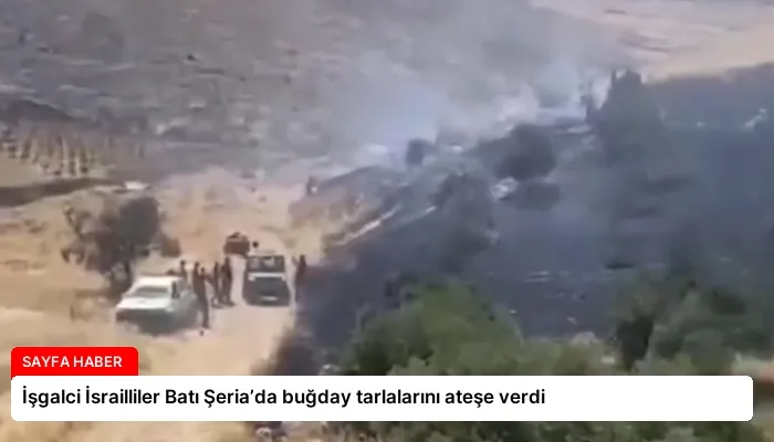 İşgalci İsrailliler Batı Şeria’da buğday tarlalarını ateşe verdi
