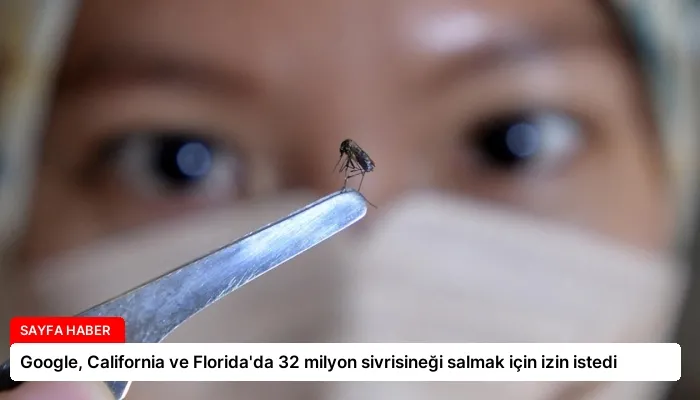 Google, California ve Florida’da 32 milyon sivrisineği salmak için izin istedi