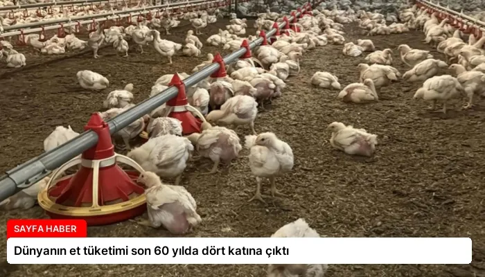 Dünyanın et tüketimi son 60 yılda dört katına çıktı
