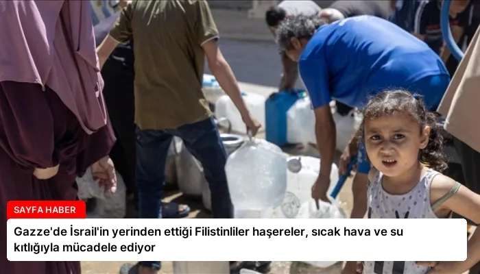 Gazze’de İsrail’in yerinden ettiği Filistinliler haşereler, sıcak hava ve su kıtlığıyla mücadele ediyor