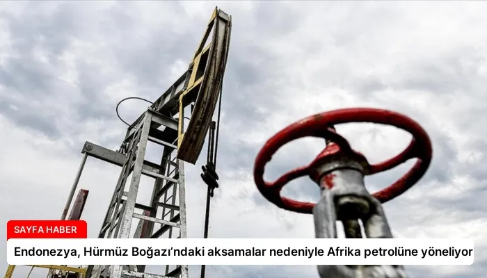 Endonezya, Hürmüz Boğazı’ndaki aksamalar nedeniyle Afrika petrolüne yöneliyor