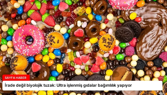 İrade değil biyolojik tuzak: Ultra işlenmiş gıdalar bağımlılık yapıyor
