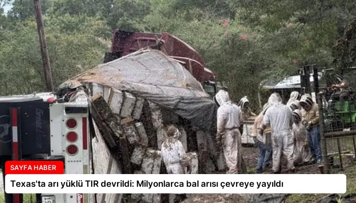 Texas’ta arı yüklü TIR devrildi: Milyonlarca bal arısı çevreye yayıldı