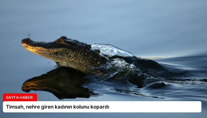 Timsah, nehre giren kadının kolunu kopardı