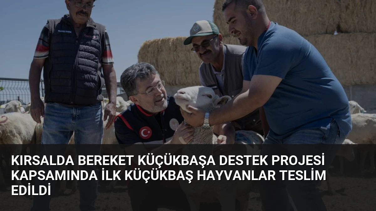 Kırsalda Bereket Küçükbaşa Destek Projesi Kapsamında İlk Küçükbaş Hayvanlar Teslim Edildi