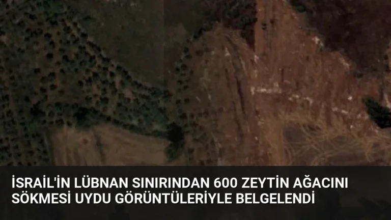 İsrail’in Lübnan Sınırından 600 Zeytin Ağacını Sökmesi Uydu Görüntüleriyle Belgelendi
