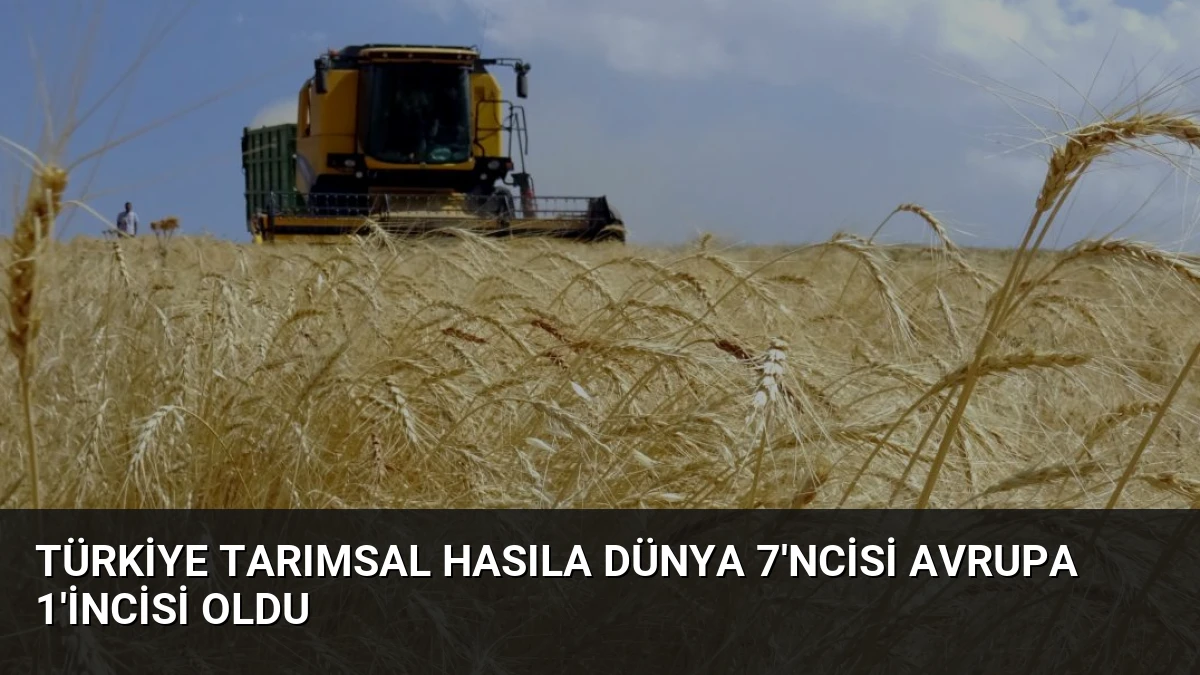 Türkiye Tarımsal Hasıla Dünya 7’ncisi Avrupa 1’incisi Oldu
