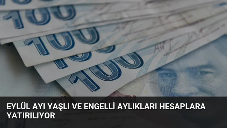 Eylül Ayı Yaşlı ve Engelli Aylıkları Hesaplara Yatırılıyor