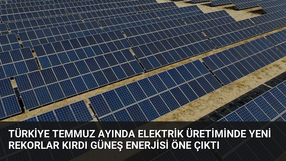 Türkiye Temmuz Ayında Elektrik Üretiminde Yeni Rekorlar Kırdı Güneş Enerjisi Öne Çıktı