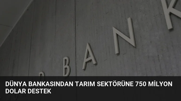 Dünya Bankasından Tarım Sektörüne 750 Milyon Dolar Destek